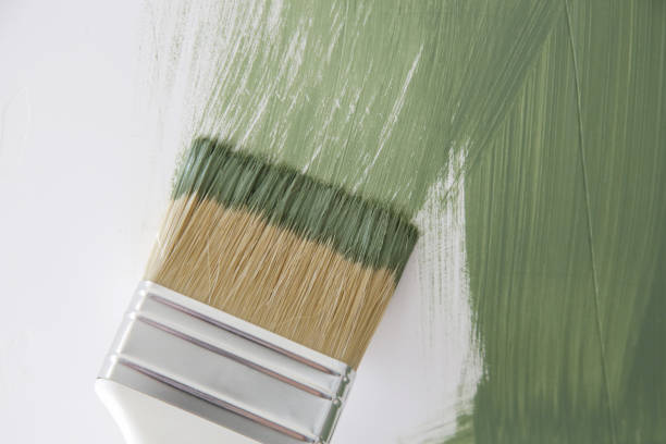  Altamont, KS Mold Removal Pros