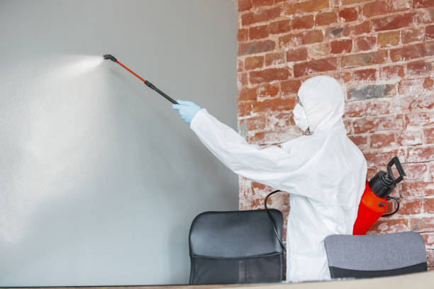 Professional Mold Removal in Altamont, KS