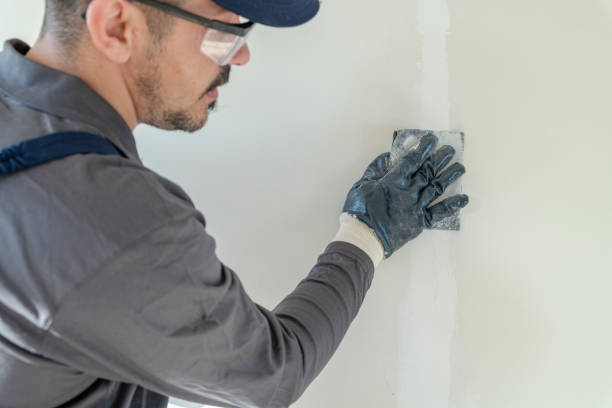 Best Environmental Consulting for Mold Prevention  in Altamont, KS