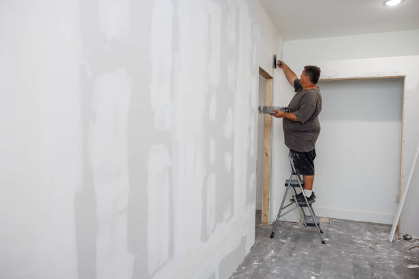 Best Asbestos and Lead Testing During Mold Inspection  in Altamont, KS