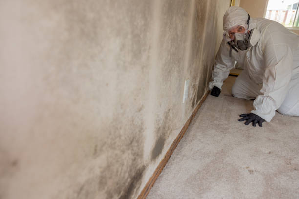 Best Air Quality Testing for Mold Spores  in Altamont, KS